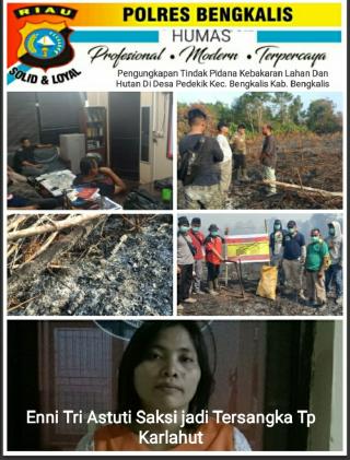 ENNI, Saksi Berubah Jadi Tersangka Pidana Karlahut Bengkalis
