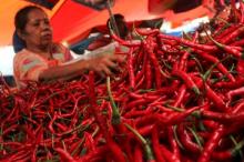 Harga Cabai di Pekanbaru Meroket Rp36 Ribu per Kilogram