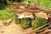 Woow..Produksi Sagu Riau Mencapai 246.000 Ton Per Tahun