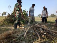  Dandim 0712 Tegal Ikut Berjibaku Babad Bambu