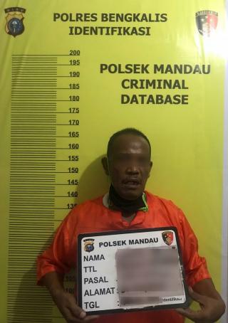 Curi Motor, SA Warga Duri, Ditangkap Polsek Kandis dan Polsek Mandau