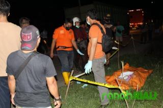 Bocah 12 Tahun Tewas di Gigit Harimau Sumatera di Areal PT MSK Inhil