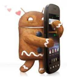 Mulai Februari 2020, Android Versi Ini Tak Bisa Lagi Gunakan Whatsapp