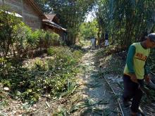 Babat Alas Bambu Untuk JUT