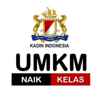 Kendala dan Problem Solving dalam Percepatan Program UMKM Naik Kelas