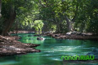 Puisi tentang Kenangan: Renjana Asa di Sungai Ingatan, karya Loym R. Sitanggang