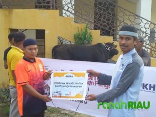 Program Kemaslahatan Bantuan Qurban BPKH, Lazismu Riau salurkan Sapi ke Siak dan Kampar