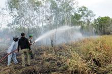 Kabupaten Pelalawan Siaga Karhutla