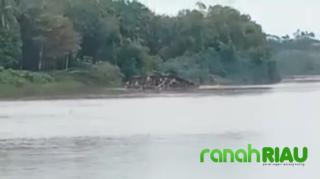 Tantang Masyarakat! Pemodal PETI di Pulau Kumpai Pangean Mengaku Siap Ditangkap