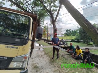 Rawan Kecelakaan, PLT DLH tanggap melakukan Pembersihan Pohon yang menutupi Lampu Penerangan Jalan