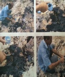 Sempat Ditutup Timbunan Tanah, Dugaan Limbah B3 PT CPI Duri Berbahaya Bagi Lingkungan