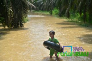 Pemprov Riau Bentuk Satgas Penanggulangan Bencana Hidrometeorologi