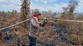 Patut Diapresiasi, Kanit Intel Polsek Mandaupun Berjibaku Padamkan Karhutla