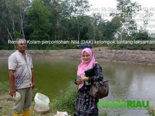 Diskan Kuansing Bangun Jalan Produksi dan Kolam Percontohan