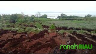 Ribuan Hektar Lahan Kena Abrasi, Kades Himbau Warga Jangan Beraktivitas Perkebunan