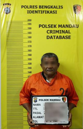 Lagi Asyik Berjudi, Pria Ini Apes Diciduk Polsek Mandau