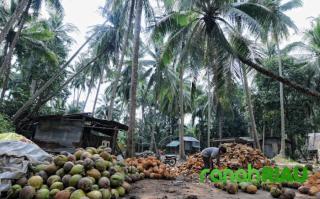 Permintaan Pasar Dunia Turun, Sambu Group Lakukan Penyesuaian