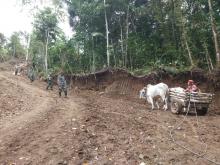 Jalan Tak Bisa Dilalui Kendaraan, Pedati Turun Tangan Angkut Bahan Material