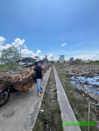 Supiyano Angkat Suara: Bongkar Muat Mandek, Petani Kelapa Pulau Mendol Terancam Rugi