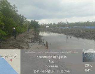 Ulah Pengusaha, Hutan Lindung Mangrove di Babat Menjadi Tambak Udang