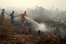 Honor Cuma Rp 100 Ribu per Hari