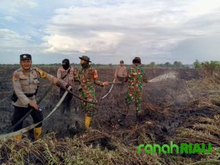 Riau hadapi Krisis Kebakaran Hutan: Sebanyak 329 titik terpantau BMKG, Rohil terbanyak 216 titik