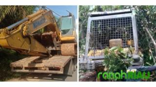 Pelaku Illegal Logging di Bukit Betabuh Belum Terungkap