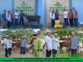 Masjid Firdaus bagikan 2 Ekor sapi di wilayah Sekitar Pekanbaru