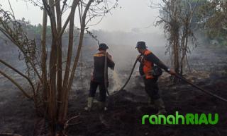 Terpantau Ada 400 Titik Hotspot Selama 2023, Begini Penjelasan Kelaksa BPBD Inhil