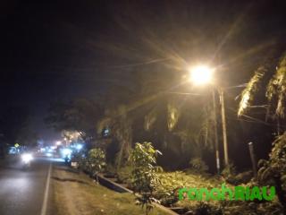 PJU Hidup Kembali, Warga Desa Senggoro Ucapkan Terima Kasih Kepada Dishub Bengkalis