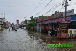 Hujan Menggila, Riau terancam Tenggelam? BPBD Warning Keras: Semua daerah Wajib Siaga!
