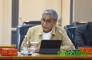 Sembilan Tahun Petani Kelapa Inhil Menunggu, Mafirion: Negara Jangan Jadi Penonton