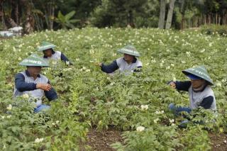 Cerita Lucu Bangun Literasi Keuangan, Bengong di Bank sampai ATM Ajaib