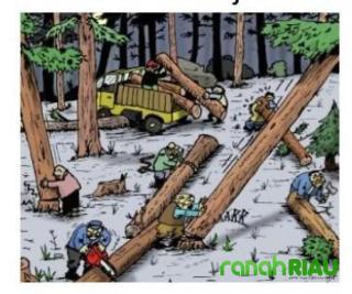 Dugaan kawasan Hutan disulap jadi lahan Sawit, Pembina PPRI: Miris...