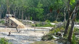 Ngerihhhh.! Warga Titian Modang Minta Kapolres Kuansing Turunkan Tim Gabungan ke Kopah