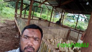 KUBE JULAPAN GROUP Menggarap Lahan Gambut Menjadi Lahan Perternakan dan Pertanian