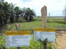Danau Napangga, Pesona Alam Kebanggan Rokan Hilir