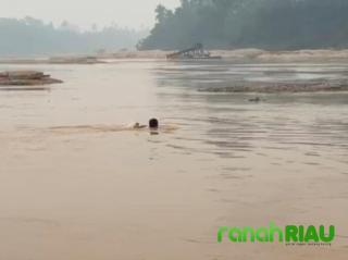 Diterjang Arus Deras, Kanit Reskrim Polsek Cerenti Tumpas 10 Rakit PETI di Sungai Kuantan