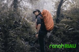 Kondisi Terkini Fiersa Besari, Dievakuasi dari Puncak Cartensz: Begini Insiden yang dialami