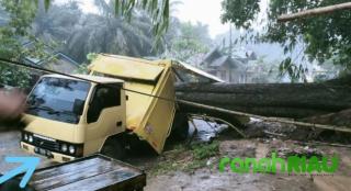Satu Unit Mobil Mitsubishi Colt Diesel Penyok Tertimpa Pohon Durian