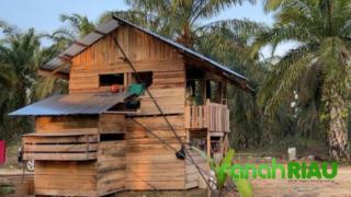 Eks Kades Perhentian Sungkai Akan Bongkar Semua Bila Dipanggil Kejati Riau