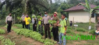 Sukseskan Program Jaga Kampung, Polsek Kuantan Mudik Panen Raya Bersama Kelompok Tani
