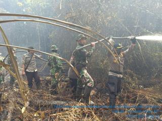 AKBP Sigit Kapolres Bengkalis, Padamkan Api 10 Hektar di Pulau Rupat