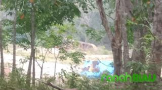 Hampir Ratusan, Aktivitas PETI di Desa Kotorajo Sangat Meresahkan Masyarakat di Tiga Desa