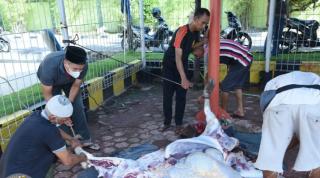 Hari Kedua Idul Adha, Sekretariat DPRD Bengkalis Laksanakan Penyembelihan Hewan Qurban