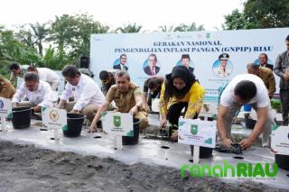 TPID Kompak, Inflasi Turun, Riau Sudah Urutan Sebelas
