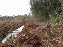 RAPP dianggap Melawan Negara, Ini Jelasnya...