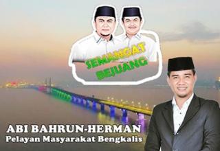 AMAN Menang Pilkada Bengkalis 2020, Ini Harapan Ketum DPP ASPEKINDO Provinsi Riau