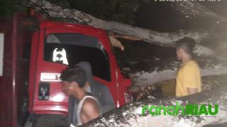 Satu Unit Cold Diesel, Penyok Tertimpa Pohon di Kuansing