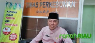 Kadisbun Riau, Zulfadli : Bersama KTPA, Disbun Riau Fokus Cegah Karhutla